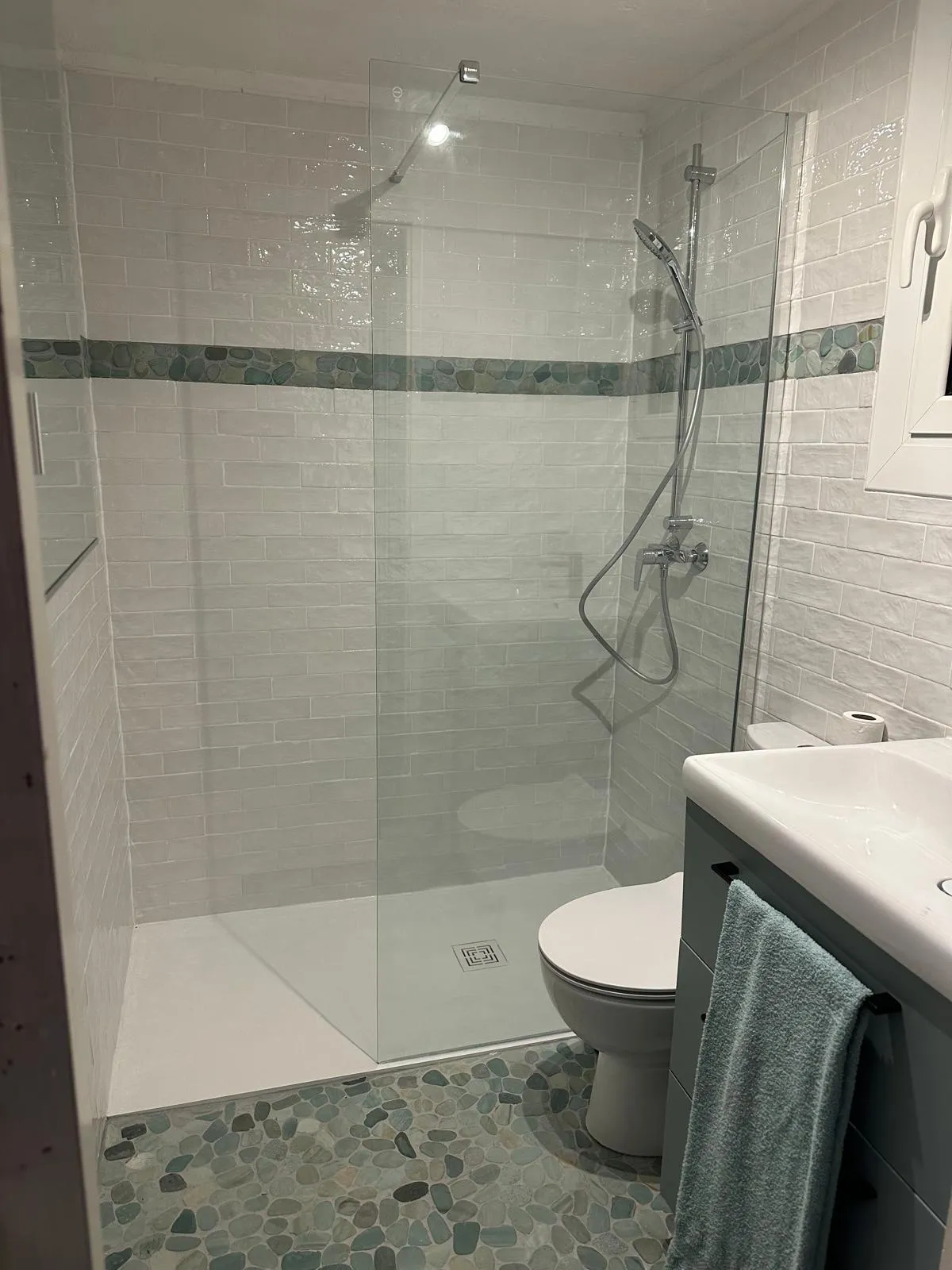 Salle de bain avec douche et WC